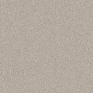 LAS CRUCES by Shaw Floors - Reflective