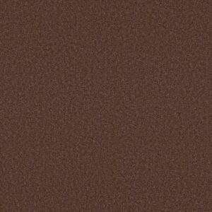 LAS CRUCES by Shaw Floors - Wood Grain