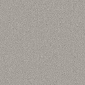 CLEVER BLEND by Shaw Floors - Gravity
