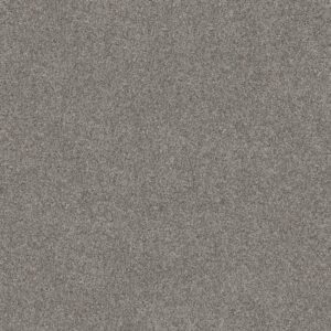 GRAND OUTLOOK by Shaw Floors - Mystic