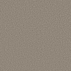 PRESCOTT VALLEY by Shaw Floors - Pashmina