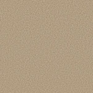 PRESCOTT VALLEY by Shaw Floors - Beach Grass