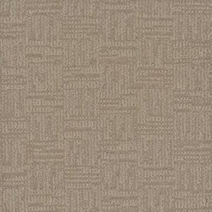 MYSTIQUE by Dreamweaver - Pale Birch 5040