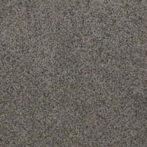 TRENDSETTER II by Dreamweaver - Ash Grove 899