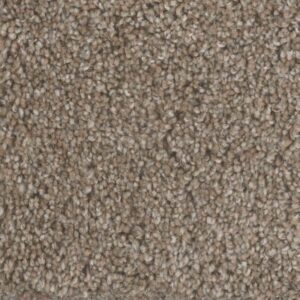 JACKSON HOLE II by Dreamweaver - Prairie Sun 113