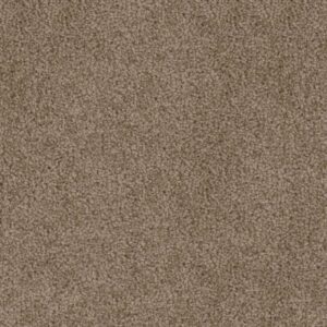 CEDAR CREEK by Dreamweaver - Taupe 565