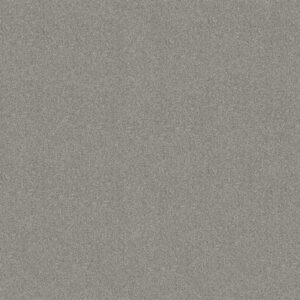 TONAL COMFORT II by Shaw Floors - Restful Day
