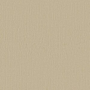 ENDLESS MEMORIES by Shaw Floors - Sun Kissed
