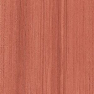 Color Range 20 by Shaw Floors - Coral