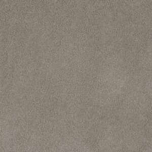 PALMETTO II by Dreamweaver - Havana 2275