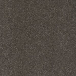 PALMETTO II by Dreamweaver - Bear Paw 2064