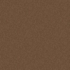 NEWBERN CLASSIC 12' by Shaw Floors - Winter Wheat