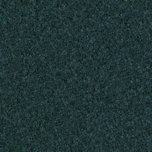 NEWBERN CLASSIC 12' by Shaw Floors - Polo