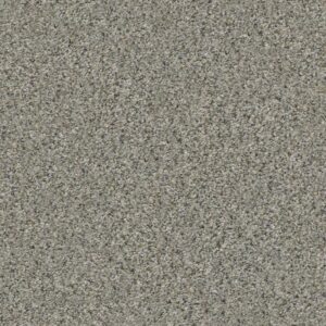 ALL SET II by Shaw Floors - Rhino
