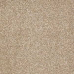 SANDY HOLLOW III 15' by Shaw Floors - Sahara