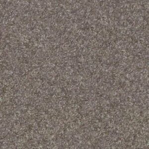 MAKE IT YOURS (S) by Shaw Floors - Stone