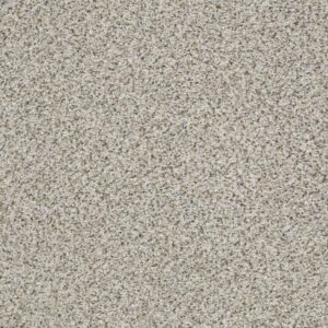 ELEMENTAL MIX III by Shaw Floors - Silver Lining