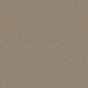 ELEMENTAL MIX II by Shaw Floors - Twine