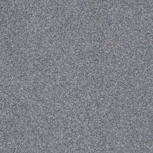 ALWAYS READY II by Shaw Floors - Harbor