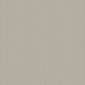 COMPLETE CONTROL by Shaw Floors - Rock Crystal