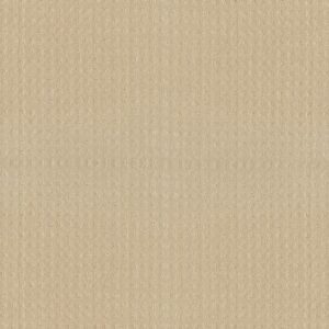 ALLURING DISPOSITION by Shaw Floors - Treasure