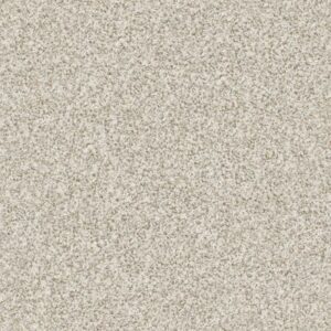 MAKE IT WORK by Shaw Floors - Scenic Drive