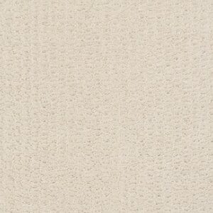 COMPLETE CONTROL by Shaw Floors - Alabaster