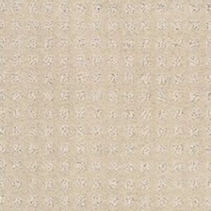 THE FAIR by Shaw Floors - Antique Lace