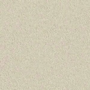 WELL PLAYED I 15' by Shaw Floors - Fresco