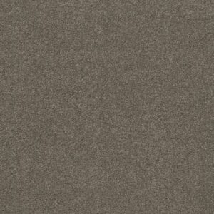 QUIET COMFORT CLASSIC IV by Shaw Floors - Chinchilla