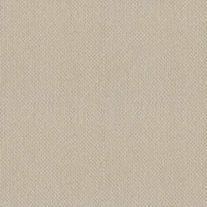 SMART THINKING by Shaw Floors - Alabaster