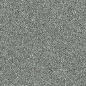 PICTURESQUE by Shaw Floors - Refreshing