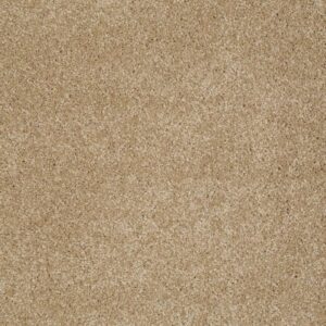 YOU KNOW IT by Shaw Floors - Oakwood