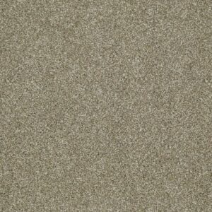 PICTURESQUE by Shaw Floors - Prairie