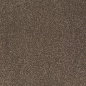 SHINGLE CREEK I 15 by Shaw Floors - Castle Rock