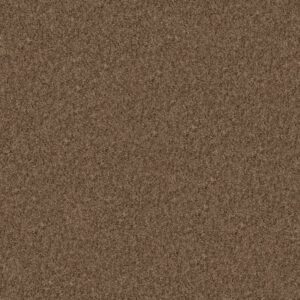 COLOR FLAIR by Shaw Floors - Log Cabin