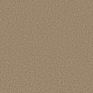 COLOR FLAIR by Shaw Floors - Natural Wood