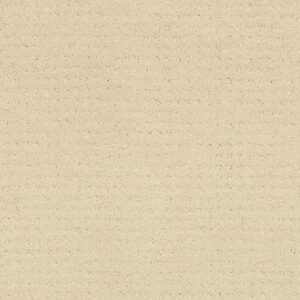 IN SAVANNAH by Shaw Floors - Airy White