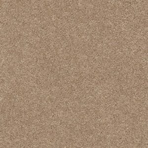 FIND YOUR COMFORT NS I by Shaw Floors - Falling Leaves (S)