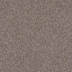 PLATINUM TEXTURE ACCENTS by Shaw Floors - Granite