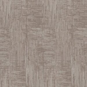 INSIGHTFUL JOURNEY by Shaw Floors - Cold Winter
