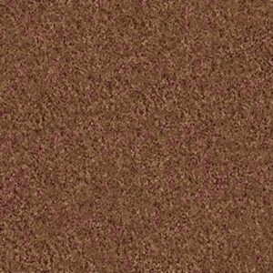 DESIGNER'S CHOICE by Shaw Floors - Pottery