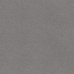 FIND YOUR COMFORT TT I by Shaw Floors - Dolphin Sighting (T)