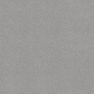 FIND YOUR COMFORT TT I by Shaw Floors - Polished Silver (T)