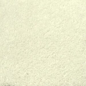 MONTAGE II by Shaw Floors - Painter'S Canva