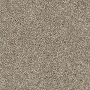 ALL ABOUT IT by Shaw Floors - Wild Truffle