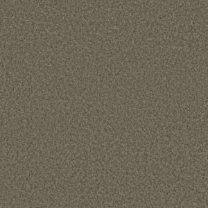 PREMIER ROLE by Shaw Floors - Dockside