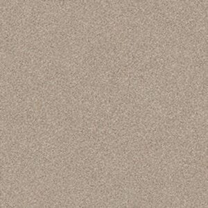 MONTAGE I by Shaw Floors - Chateau