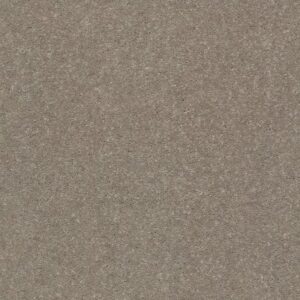 WELL GROUNDED I 15 by Shaw Floors - Natural Contour