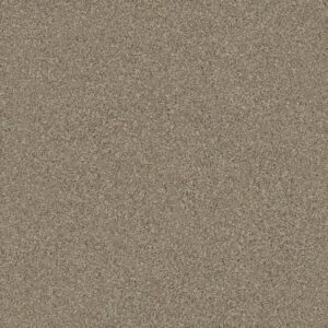 MONTAGE I by Shaw Floors - Midtown Brown